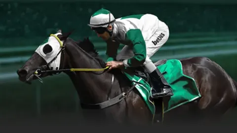 拉齐奥盼早日重返意甲之巅