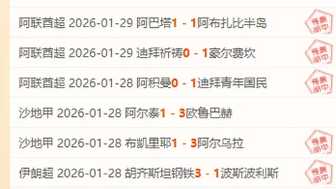 官方澄清：原判點球判決錯誤，布萊頓當得點球